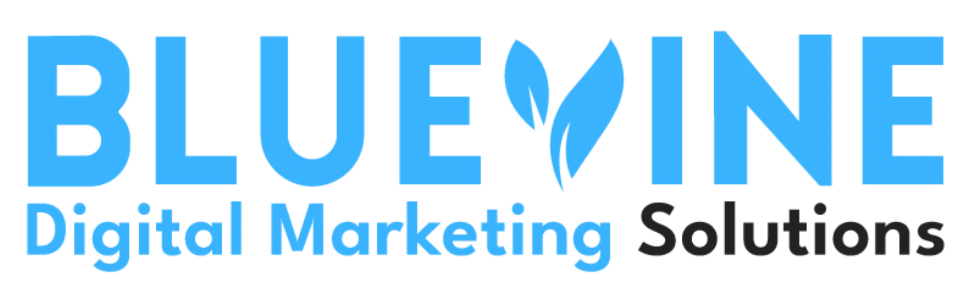 BlueVine Marketing